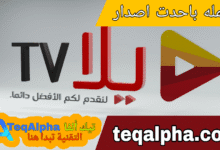 yalla.tv وyalla tv live stream: دليلك الشامل لمشاهدة المباريات والبث المباشر بجودة عالية
