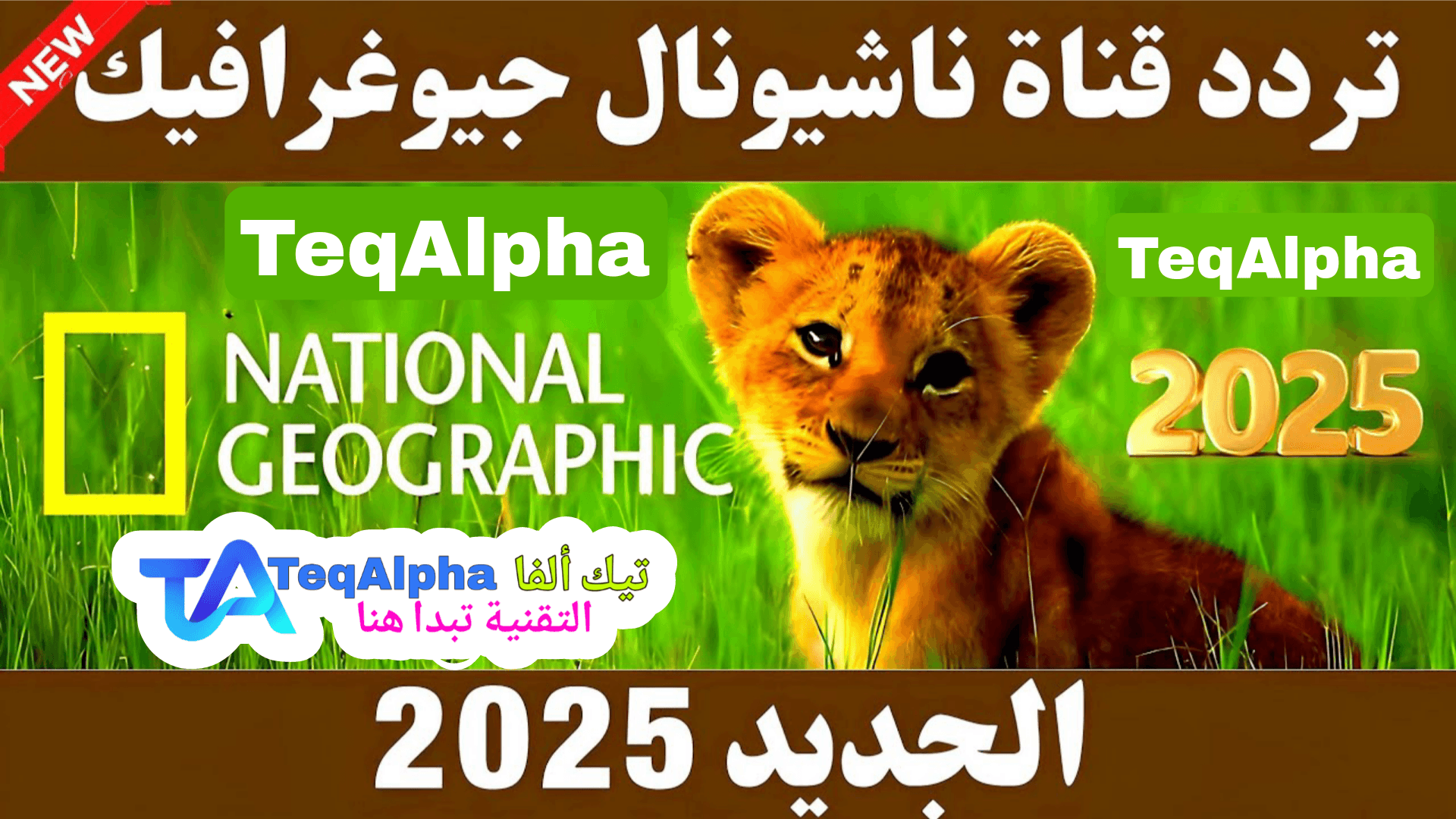 اكتشف أحدث تردد قناة ناشيونال جيوغرافيك نايل سات 2025 بجودة HD وSD. دليل شامل لتردد القناة على جميع الأقمار وطريقة ضبطها بسهولة لمتابعة أفضل البرامج الوثائقية.